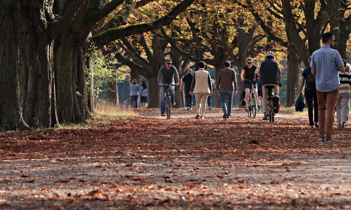 autumn-3731094_1920