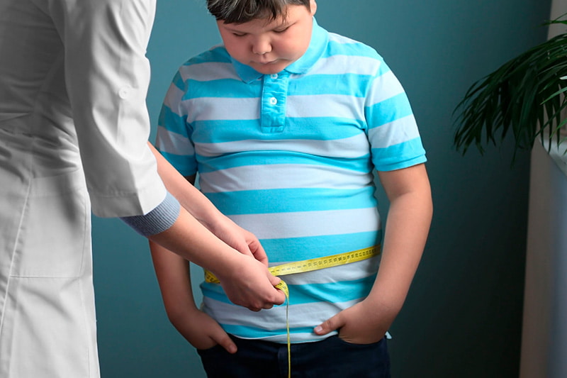 qual-o-papel-da-familia-na-prevencao-da-obesidade-infantil qual-o-papel-da-familia-na-prevencao-da-obesidade-infantil