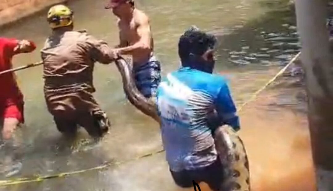 WhatsApp Image 2025-10-13 at 10.17.29