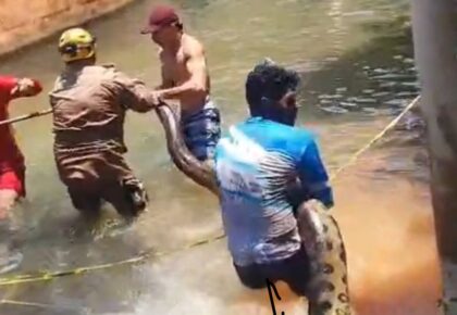 WhatsApp Image 2025-10-13 at 10.17.29