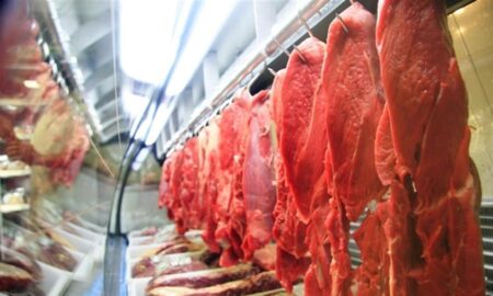 IIyiREcB-carne-bovina