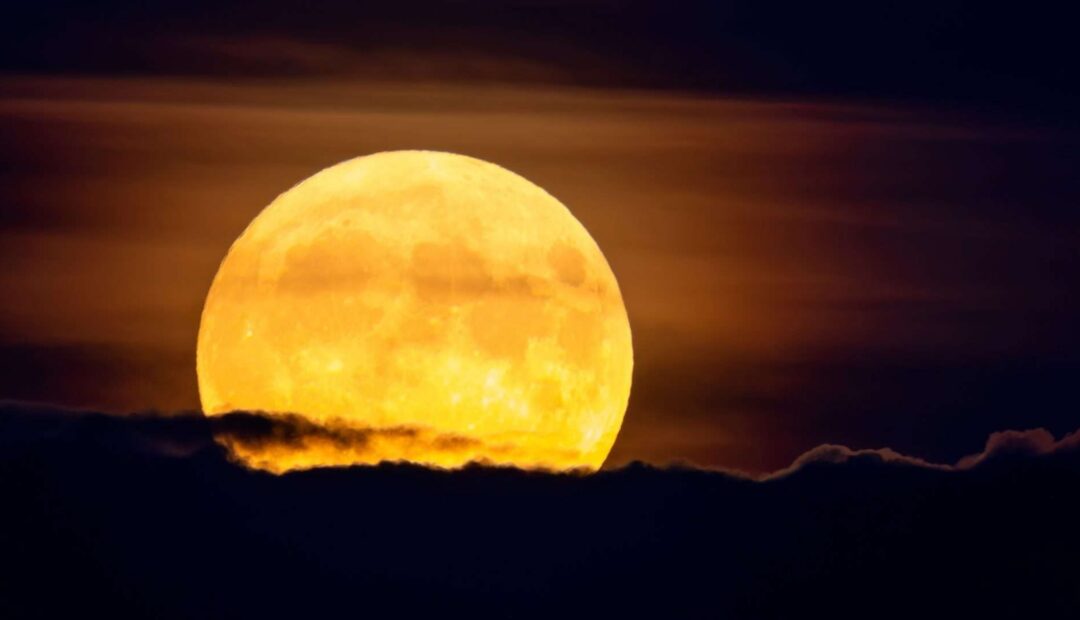 WhatsApp Image 2025-11-04 at 11.40.55