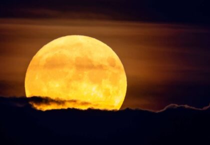 WhatsApp Image 2025-11-04 at 11.40.55