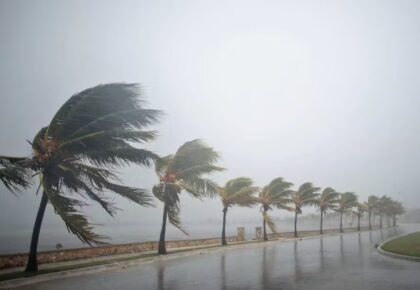 WhatsApp Image 2025-11-07 at 11.39.16