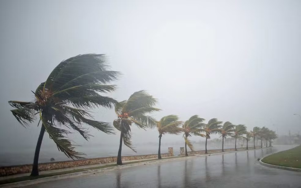 WhatsApp Image 2025-11-07 at 11.39.16