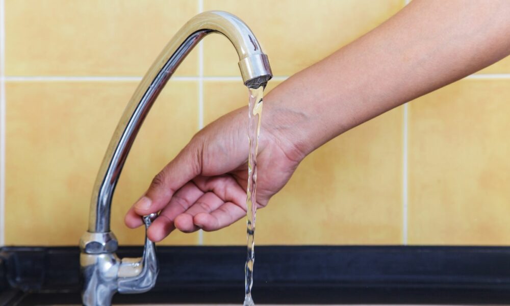 WhatsApp Image 2025-11-24 at 11.01.11