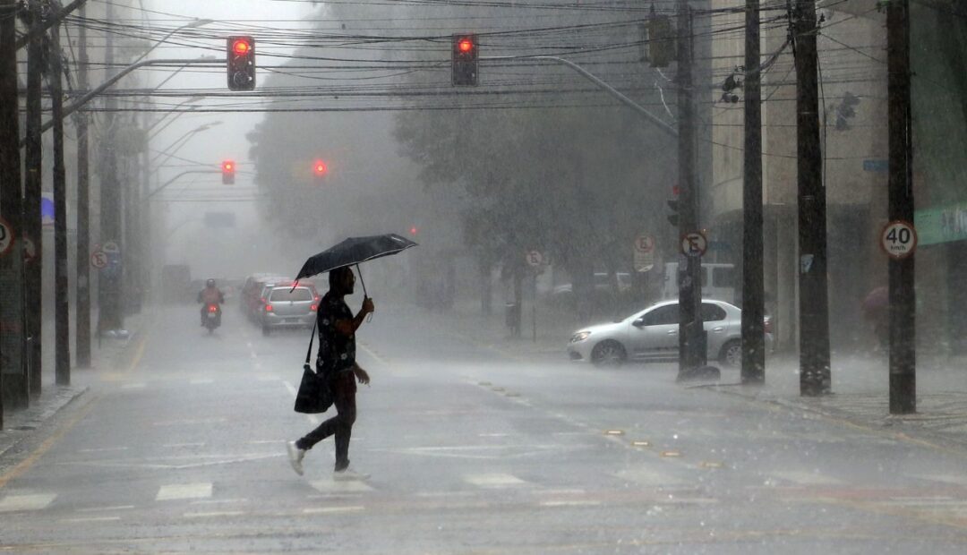 WhatsApp Image 2025-12-05 at 12.34.49