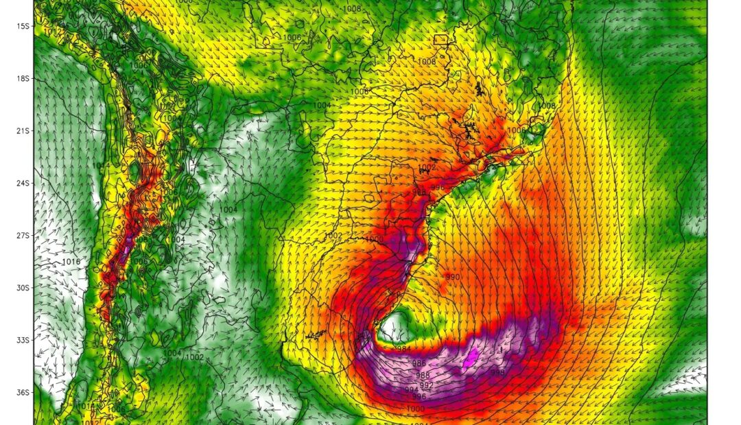 WhatsApp Image 2025-12-06 at 10.45.57 (1)