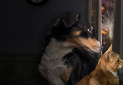 WhatsApp Image 2025-12-08 at 12.03.31