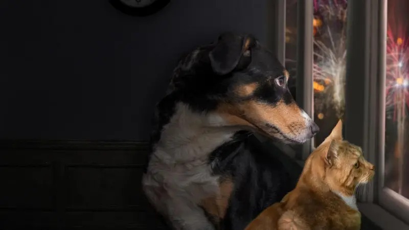 WhatsApp Image 2025-12-08 at 12.03.31