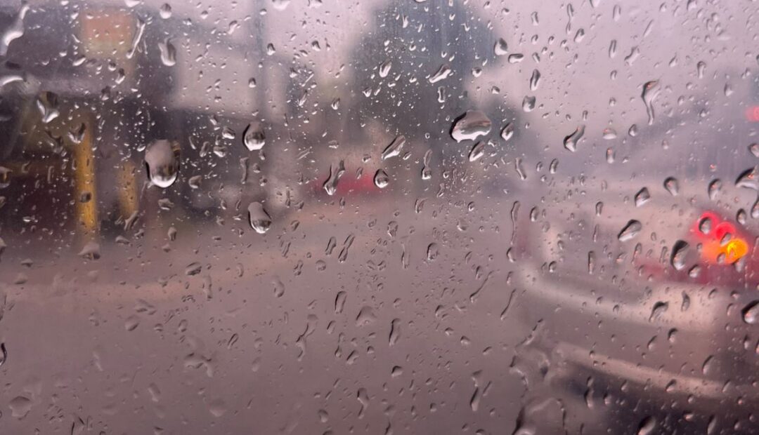 WhatsApp Image 2026-01-17 at 09.43.10