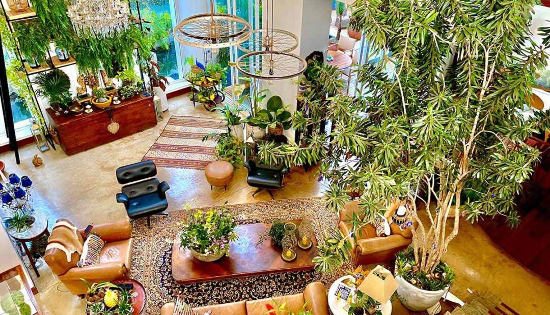 CasaDeValentina_OpenHouse_Felipe-e-Carlos_-casa-com-muitas-plantas-e-decoracao-inspirada-na-Tailandia-22.jpg.optimal