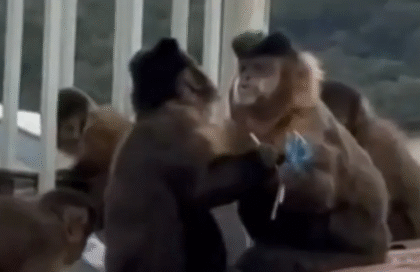 Captura de tela 2026-03-14 095905