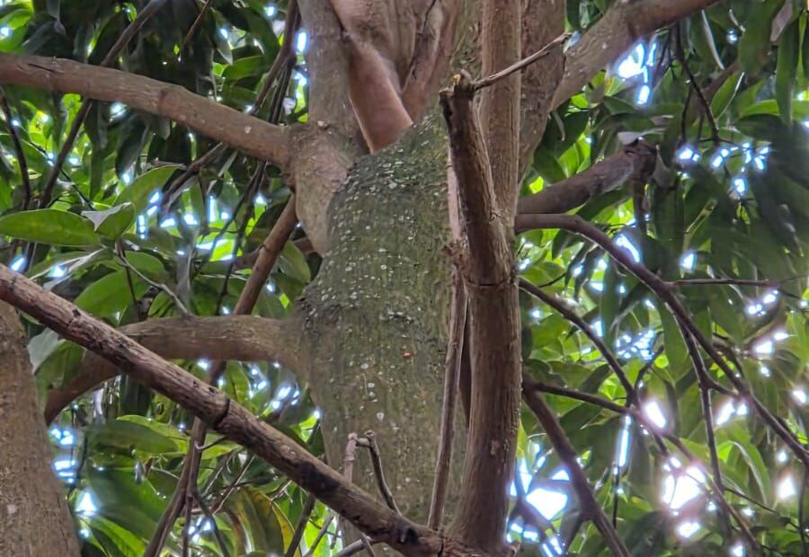 WhatsApp Image 2026-03-06 at 08.42.02