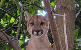 WhatsApp Image 2026-03-06 at 08.42.02