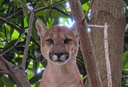 WhatsApp Image 2026-03-06 at 08.42.02