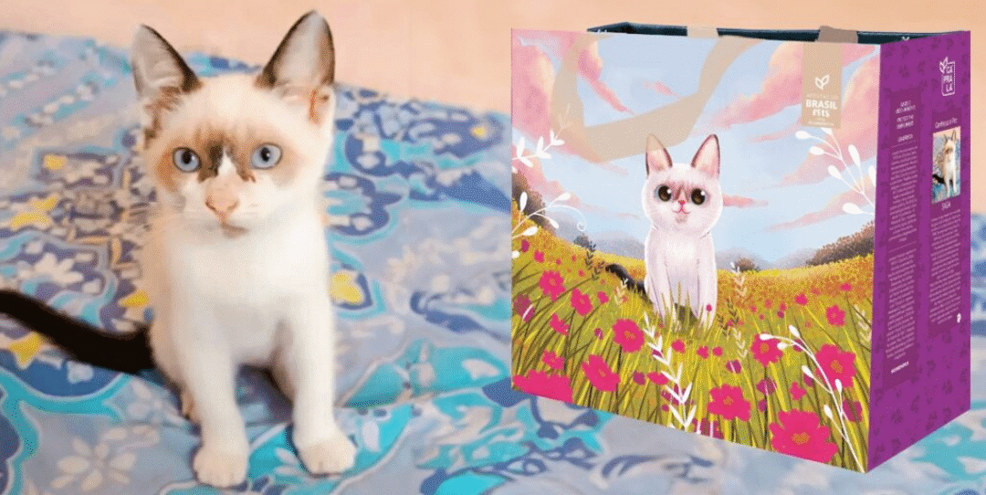 Screenshot 2026-05-21 at 10-06-55 A Redação Projeto quer transformar fotos e histórias de pets em artes de ecobags