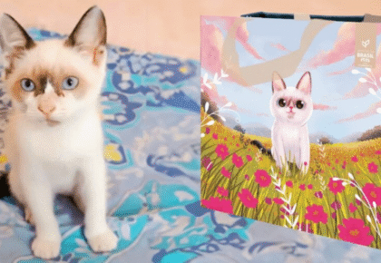 Screenshot 2026-05-21 at 10-06-55 A Redação Projeto quer transformar fotos e histórias de pets em artes de ecobags