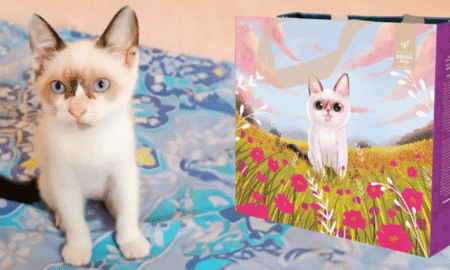 Screenshot 2026-05-21 at 10-06-55 A Redação Projeto quer transformar fotos e histórias de pets em artes de ecobags