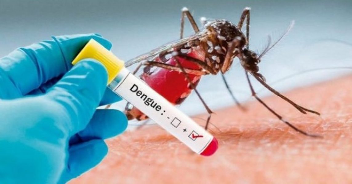 dengue700x525jpg15784882145e15d196eccc0-740x dengue700x525jpg15784882145e15d196eccc0-740x