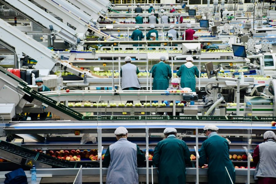 inovacao-industria-alimenticia–1536×1024 inovacao-industria-alimenticia--1536x1024